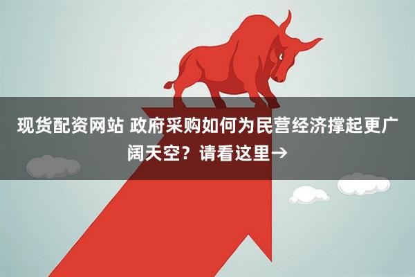现货配资网站 政府采购如何为民营经济撑起更广阔天空？请看这里→