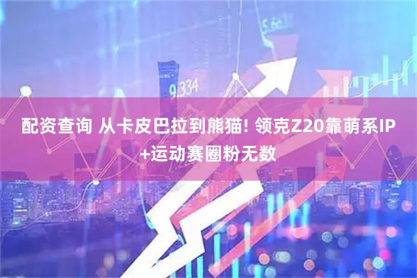 配资查询 从卡皮巴拉到熊猫! 领克Z20靠萌系IP+运动赛圈粉无数