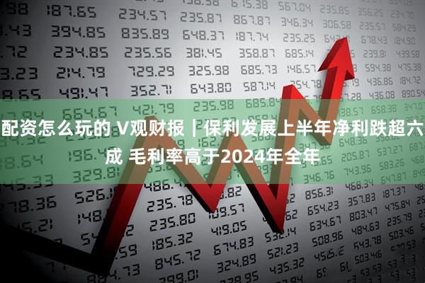 配资怎么玩的 V观财报｜保利发展上半年净利跌超六成 毛利率高于2024年全年