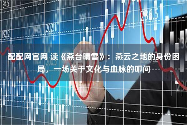 配配网官网 读《燕台晴雪》：燕云之地的身份困局，一场关于文化与血脉的叩问