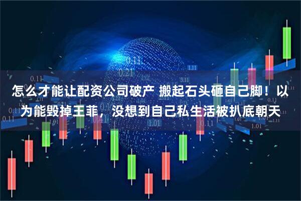 怎么才能让配资公司破产 搬起石头砸自己脚！以为能毁掉王菲，没想到自己私生活被扒底朝天